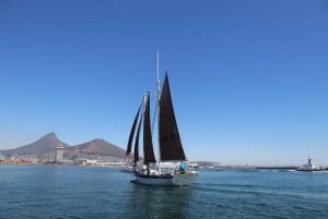 Ciudad del Cabo: Excursión en velero de 1 hora por la Bahía de la Mesa