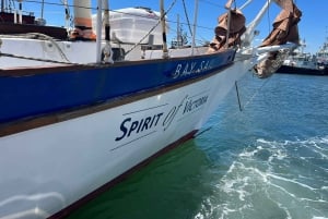 ケープタウン：1 時間のテーブル ベイ セーリング ツアー