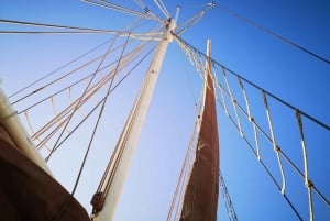 ケープタウン：1 時間のテーブル ベイ セーリング ツアー