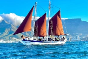 ケープタウン：1 時間のテーブル ベイ セーリング ツアー