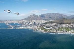 Cidade do Cabo: passeio panorâmico de helicóptero de 12 minutos
