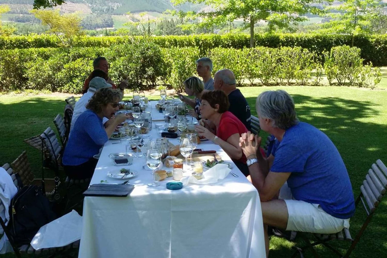 Cape Town: 15 vinprovings- og dyrelivstur for små grupper