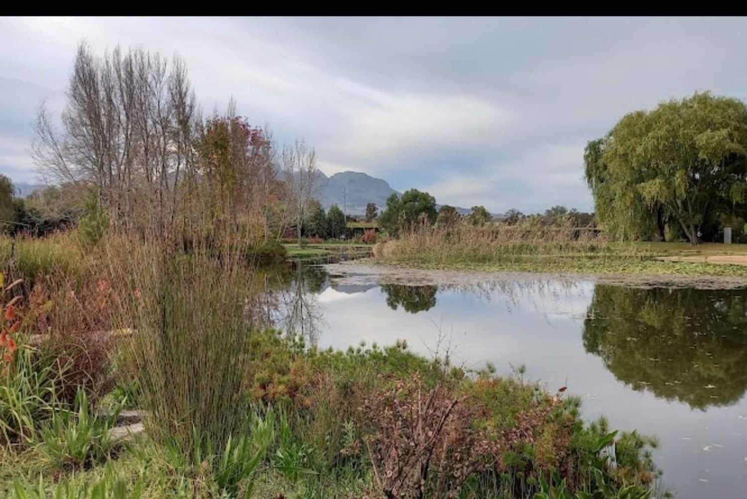Cape Town: 15 vinprovings- og dyrelivstur for små grupper