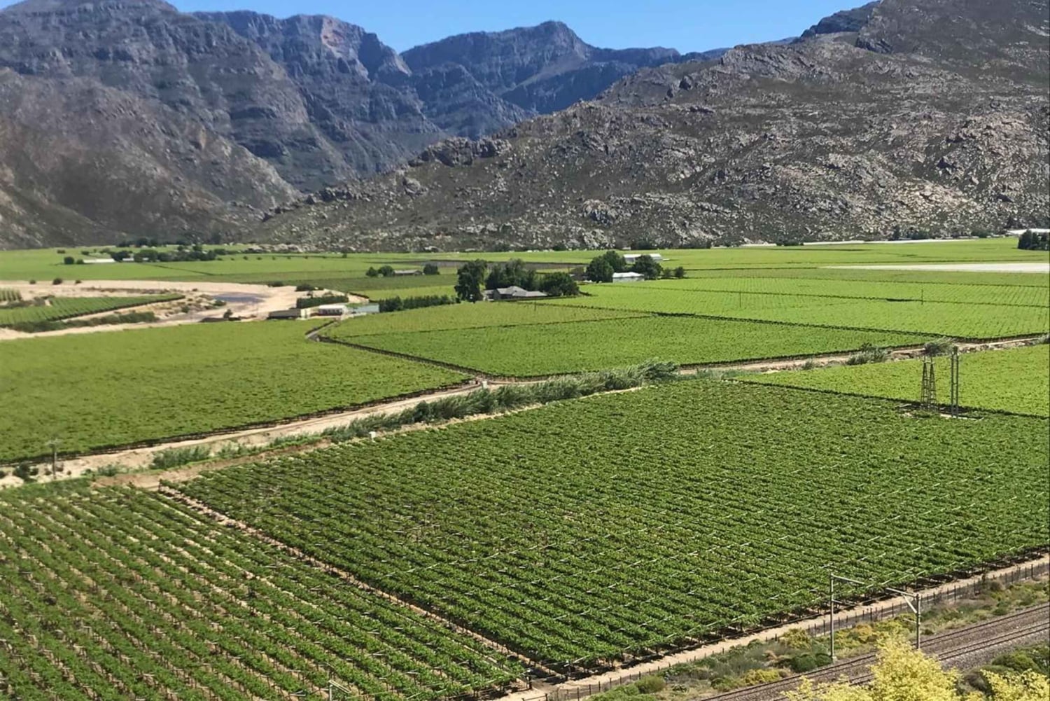 Cape Town: 15 vinprovings- og dyrelivstur for små grupper