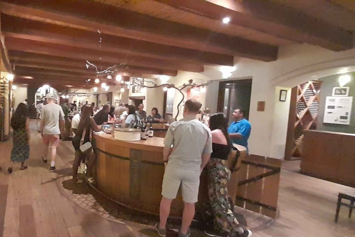 Cape Town: 15 vinprovings- og dyrelivstur for små grupper