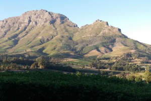 Kapsztad: 15 degustacji win i wycieczka w małej grupie