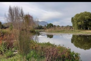 Cape Town: 15 vinprovings- og dyrelivstur for små grupper