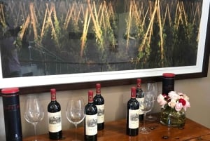 Cape Town: 15 vinprovings- og dyrelivstur for små grupper