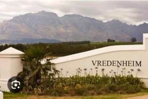 Cape Town: 15 vinprovings- og dyrelivstur for små grupper