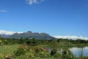 Cape Town: 15 vinprovings- og dyrelivstur for små grupper