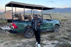 Kapstaden: två dagar på Garden Route Game Lodge Safari Tour