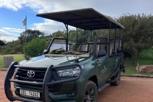 Kapstaden: två dagar på Garden Route Game Lodge Safari Tour