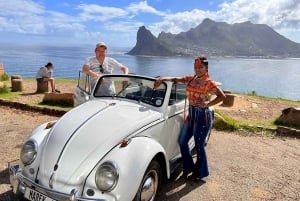 Kapstaden: 2-dagars privat tur till de bästa höjdpunkterna