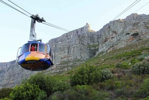 Città del Capo: tour privato dei migliori momenti salienti di 2 giorni