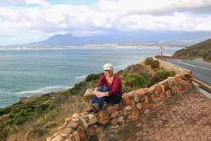 Kapstaden: 2-dagars privat tur till de bästa höjdpunkterna