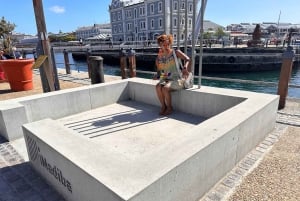 Cape Town: 2-dages privat tur til de bedste højdepunkter