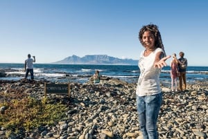 Kapstadt: 2-tägige Best Highlights Private Tour