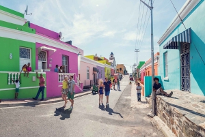 Kapstadt: 2-tägige Best Highlights Private Tour