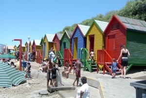Cape Town: 2-Day Best Highlights Private Tour