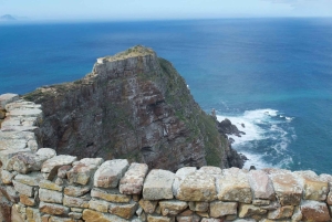 Città del Capo: tour di 2 giorni della penisola del Capo e del Capo Agulhas