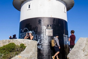 Città del Capo: tour di 2 giorni della penisola del Capo e del Capo Agulhas