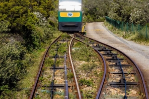 Città del Capo: tour di 2 giorni della penisola del Capo e del Capo Agulhas