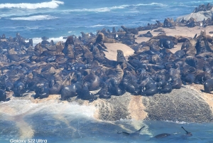 Città del Capo: tour di 2 giorni della penisola del Capo e del Capo Agulhas