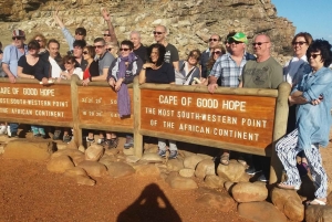 Città del Capo: tour di 2 giorni della penisola del Capo e del Capo Agulhas