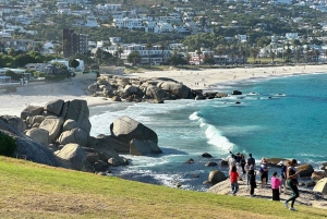 Città del Capo: tour di 2 giorni della penisola del Capo e del Capo Agulhas