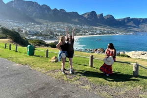 Città del Capo: tour di 2 giorni della penisola del Capo e del Capo Agulhas