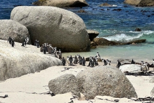 Città del Capo: tour di 2 giorni della penisola del Capo e del Capo Agulhas