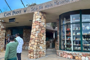 Città del Capo: tour di 2 giorni della penisola del Capo e del Capo Agulhas