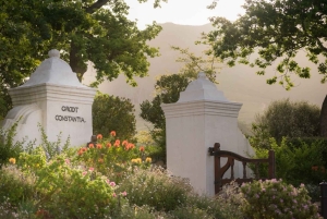 Città del Capo: tour di 2 giorni della penisola del Capo e del Capo Agulhas