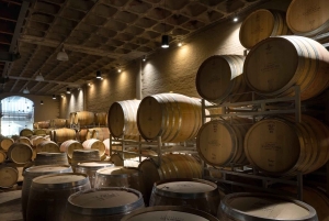 Città del Capo: tour di 2 giorni della penisola del Capo e del Capo Agulhas