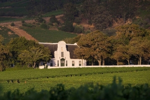 Città del Capo: tour di 2 giorni della penisola del Capo e del Capo Agulhas