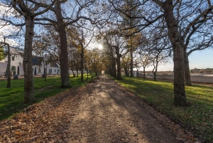 Città del Capo: tour di 2 giorni della penisola del Capo e del Capo Agulhas