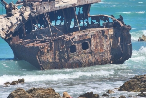 Città del Capo: tour di 2 giorni della penisola del Capo e del Capo Agulhas