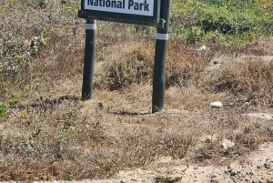 Città del Capo: tour di 2 giorni della penisola del Capo e del Capo Agulhas