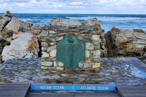 Città del Capo: tour di 2 giorni della penisola del Capo e del Capo Agulhas