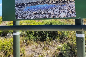 Città del Capo: tour di 2 giorni della penisola del Capo e del Capo Agulhas