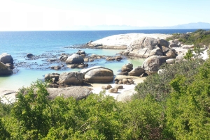 Città del Capo: tour di 2 giorni della penisola del Capo e del Capo Agulhas