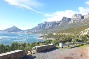 Città del Capo: tour di 2 giorni della penisola del Capo e del Capo Agulhas