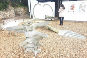 Città del Capo: tour di 2 giorni della penisola del Capo e del Capo Agulhas