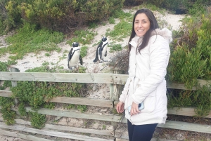 Città del Capo: tour di 2 giorni della penisola del Capo e del Capo Agulhas