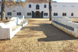 Città del Capo: tour di 2 giorni della penisola del Capo e del Capo Agulhas