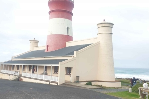 Città del Capo: tour di 2 giorni della penisola del Capo e del Capo Agulhas