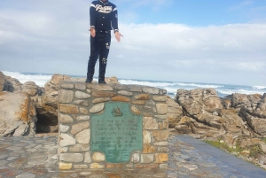 Città del Capo: tour di 2 giorni della penisola del Capo e del Capo Agulhas