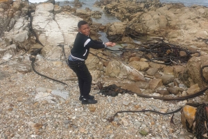 Città del Capo: tour di 2 giorni della penisola del Capo e del Capo Agulhas