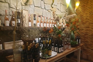 Città del Capo: tour di 2 giorni della penisola del Capo e del Capo Agulhas