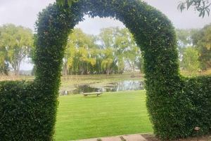 Città del Capo: tour di 2 giorni della penisola del Capo e del Capo Agulhas